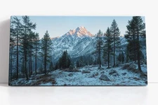 Snowy Mountain Forest Canvas Print | Winter Pine Wall Art | Rustic Nature Decor