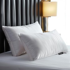 Beautyrest Luxury Goose Feathers Down Pillows King Size King (Pack of 2) White