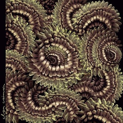 Pica Pau von Clan Caiman [VINYL]