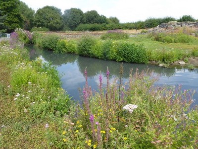 Photo A2 The London Wetland Centre Barnes Sir Peter Scott was the founde c2018