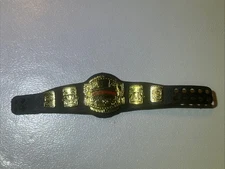 WWE Mattle Elite Cruiserweight Championship Title Belt Figure Free Ship