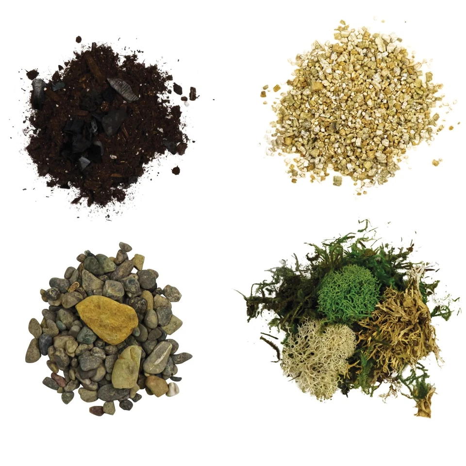 Kit de inicio de terrario | Musgo, vermiculita, suelo, guijarros, alimento vegetal, finishi... Foto 4 de 4