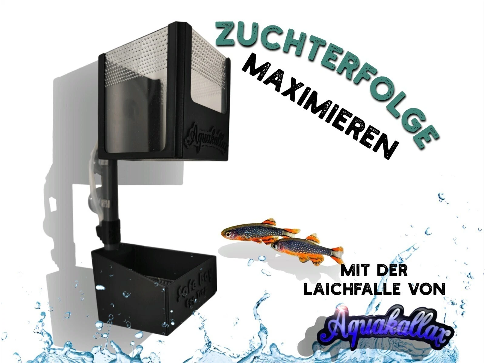 Bild 1 von 5