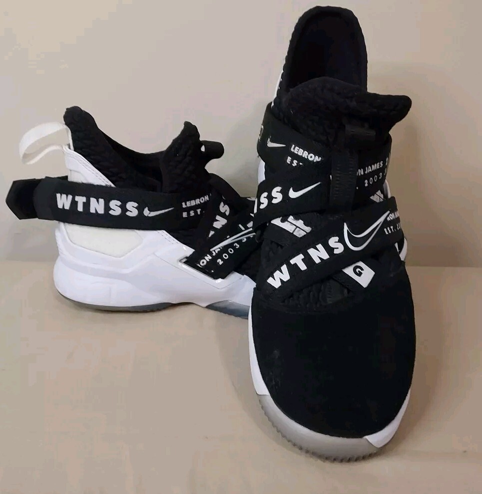 lebron soldier 12 kids