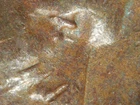 HIGH GRADE MINT ERROR 1946-D  LINCOLN WHEAT CENT DDO#2   VF