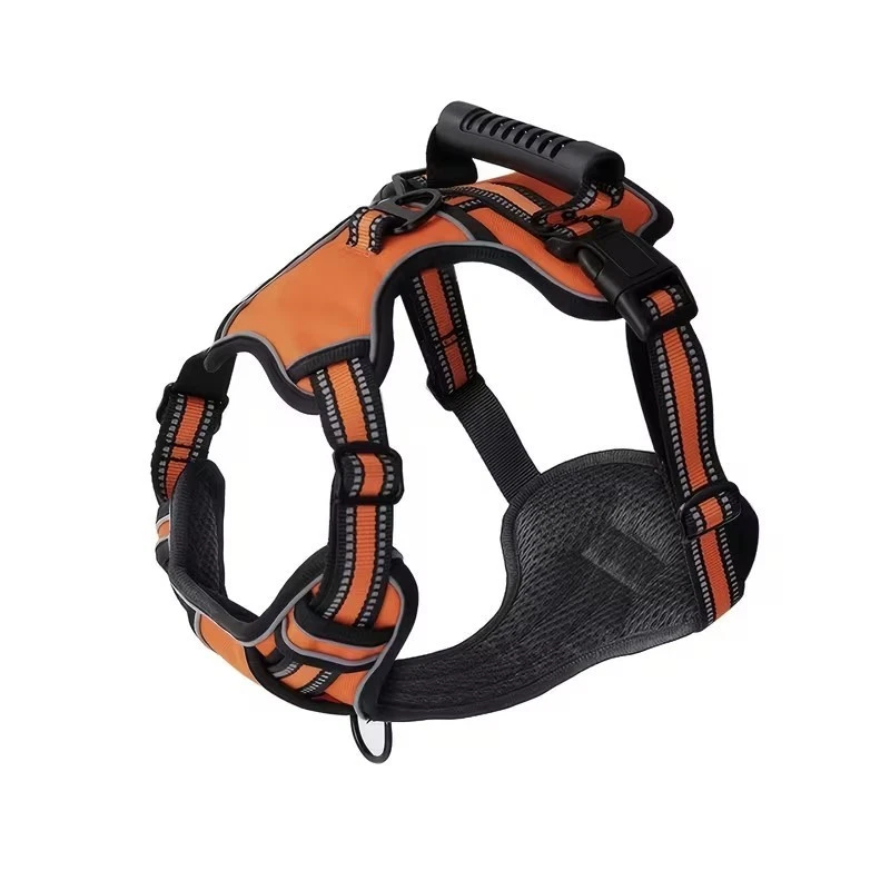 dog harness