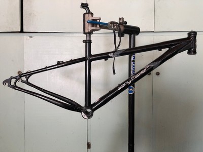 gary fisher rig