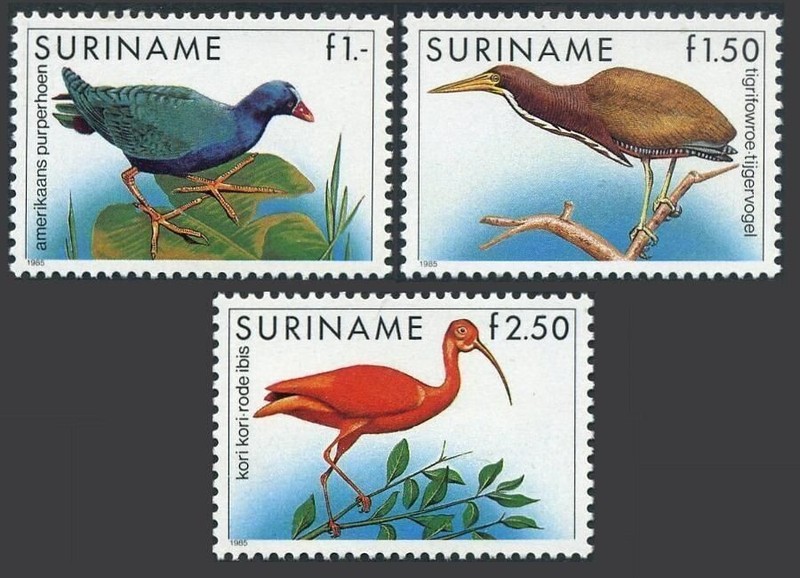 Surinam 1985 #725-727 & 725a MNH Birds/Purple fowl/Tiger bird/Red ibis