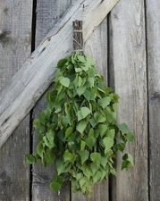 SEASON 2025! SET of 30 BIRCH SAUNA WHISK FREE SHIPPING venik broom