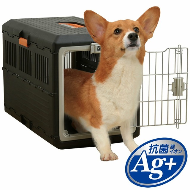 iris collapsible pet carrier