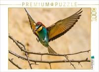 Calvendo Puzzle Bienenfresser | 1000 Teile Lege-GrößE 64X48Cm Foto-Puzzle FüR Gl