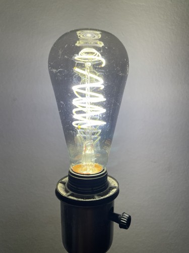 LED Edison Bulbs Smokey Gray Spiral Fila Glass 2