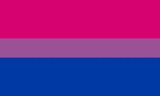 New Bisexual Pride Flag - 100% Goes to LGBTQ+ Organization