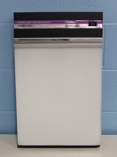 FISCHER WHITTE LIGHT TRANSILLUMINATOR