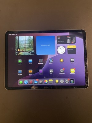 Apple iPad Pro 3. Gen (2021) 11 Zoll WiFi 128 GB | Space Grau | Displayschaden