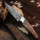 8.8" inch Handmade Damascus Hunting Knife Full Tang Wood Handle Leather Sheath — photo 5
