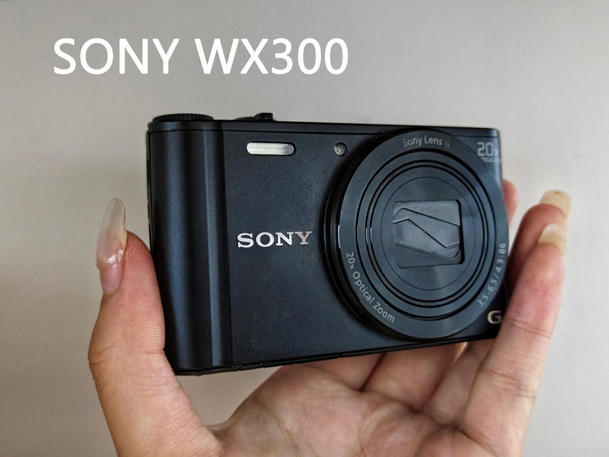 SONY Cyber-shot DSC-WX300 18.2MP 20x Zoom Compact Digital
