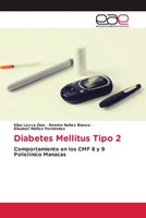 Elba Leyva DíAz (U. A.) | Diabetes Mellitus Tipo 2 | Taschenbuch | Spanisch