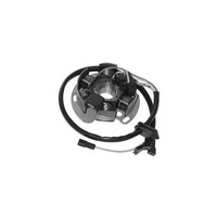 Stator 6 Pole Aprilia Rs 50 (06) -Derbi