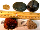 5 SPECIMENS PETOSKEY STONE LABRADORITE AMBER RUTILATED QUARTZ SEPTARIAN #079 — photo 1