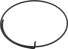 Campy and Fulcrum Freehub Pawl Spring