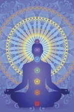 Chakra Mandala Root Muladhara Symbols Spiritual Hinduism Buddha Poster 12x18