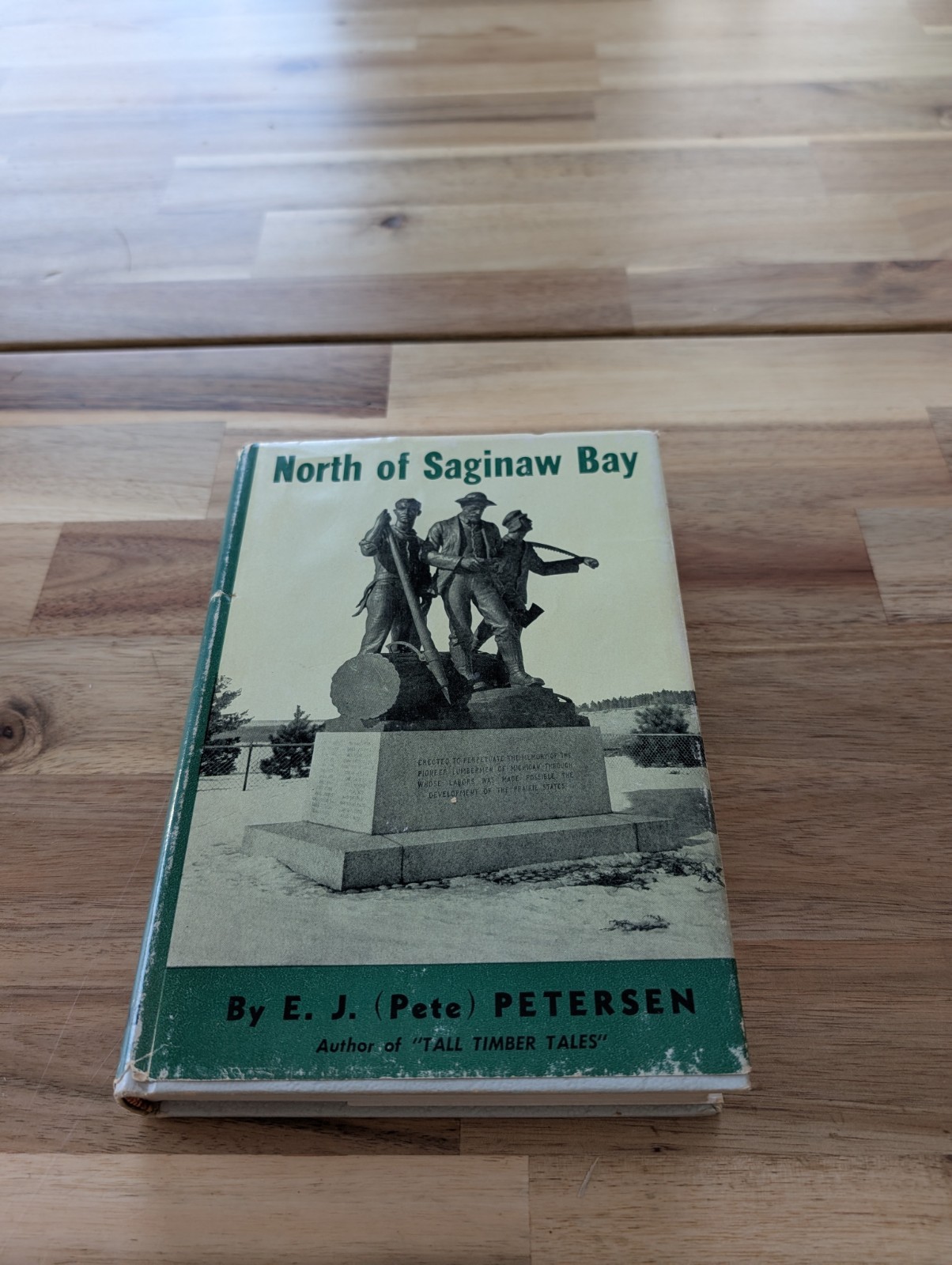 NORTH OF SAGINAW BAY Pine Logging Lumberjacks Timber Indians Historical Fiction