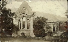 RPPC Wales UK Llantysilio Valle Church Abbey unused real photo postcard