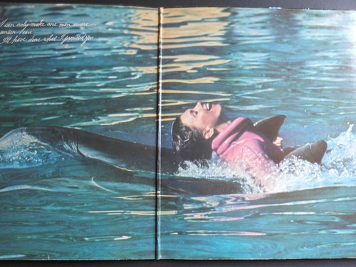 OLIVIA NEWTON-JOHN Physical 12" Vinyl Album 1981 EMI EMC 3386 GfdSlv (BlueBDR)) - Picture 9 of 15