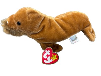 TY Beanie Babies: Paul Walross Plüschtier Kuscheltier Sammlerstück selten Vintage 1999 süß