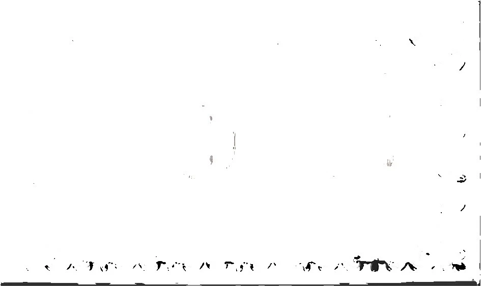 Multicolor Flags Flags