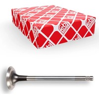 Febi Bilstein 12824 Auslassventil FüR BMW 3 Z3 5 7 E36 E46 E34 E39 E38