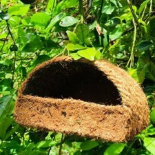 Bird Nest Bed Toy for Birds Parakeet cockatiel Conure Canary Handmade Coir Rope