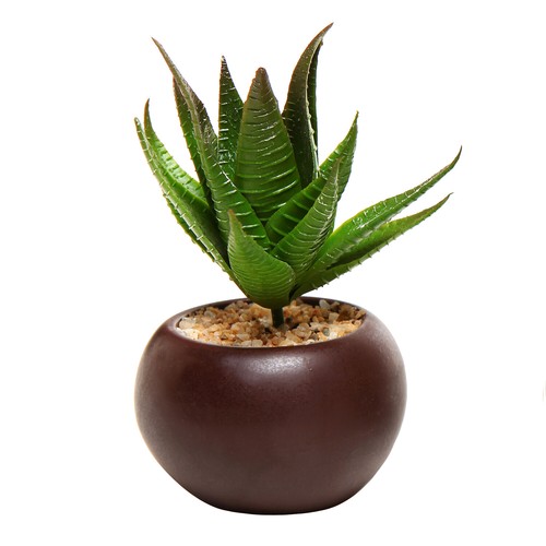 MyGift Set of 3 Potted Artificial Mini Succulent Plants in Brown Round Pots - Picture 3 of 5