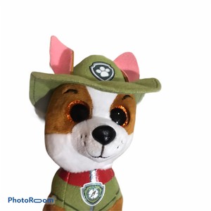 paw patrol chihuahua