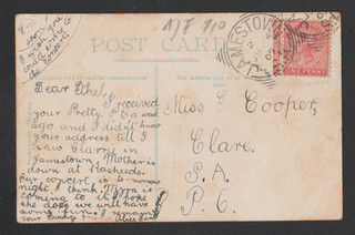 South Australia 1909 PPC Wallaby Postcard Jamestown SA Square Circle Postmark
