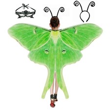 Halloween Butterfly Wings Costume for Womens, 78 "X50, Chiffon Green Moth
