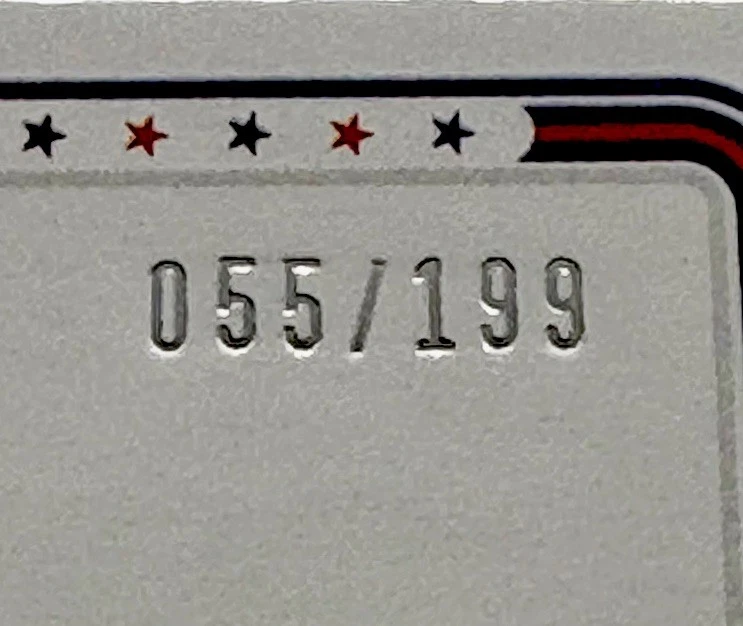 2024 Panini USA Stars & Stripes Tyson Neighbors Silhouettes Auto 055/199 #SS-TN - Image 3 of 3