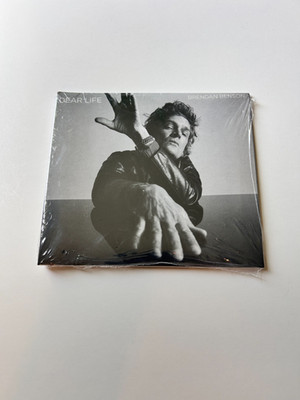 Brendon Benson - Dear Life CD