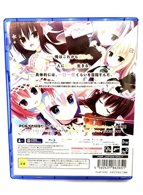PS4 ラズベリーキューブ PS4 Raspberry Cube Sony PlayStation 4 iMel Video Game Shipped