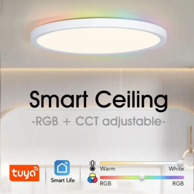 Ceiling Lamp Room Decor Led Light RGB APP Voice Control Alexa Google Smart Lamp