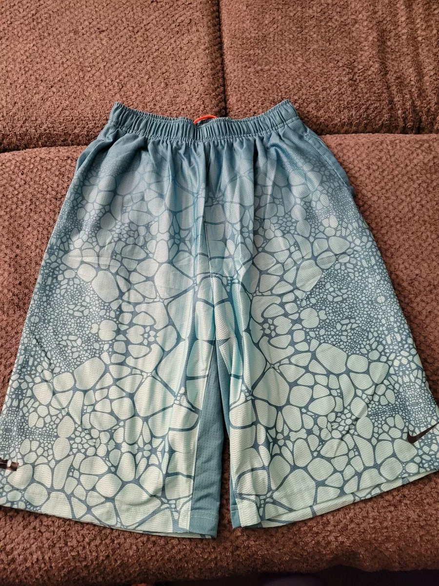 Boys sales lebron shorts