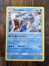 Gyarados 20/70 Holo Rare Sun & Moon Dragon Majesty Pokemon Card 2018 Near Mint on eBay