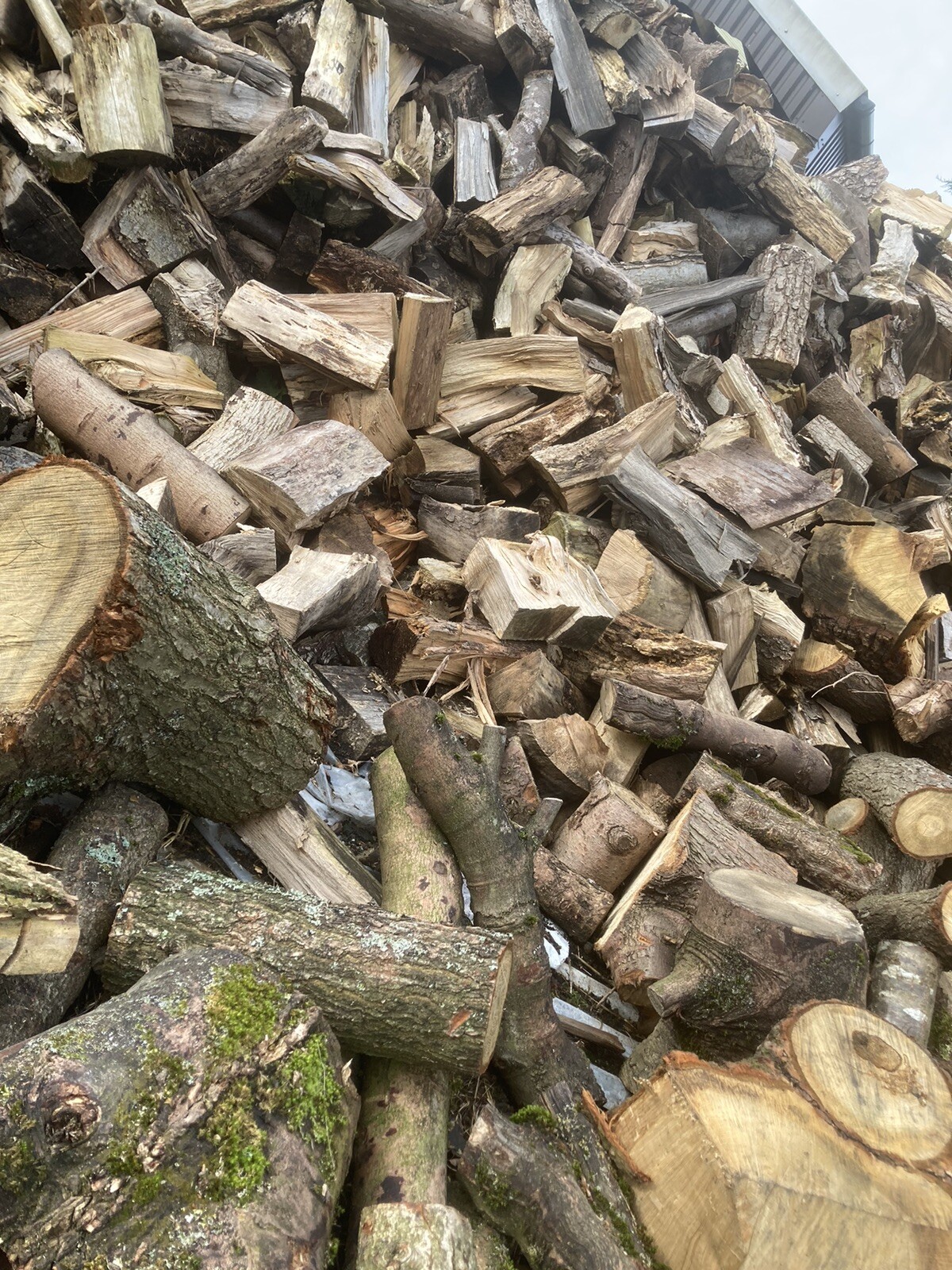 logs, fire wood for sale eBay