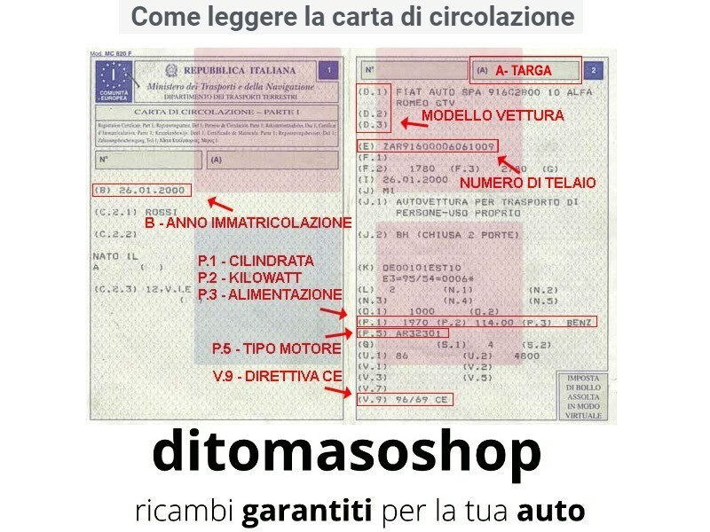Foto 2 di 3