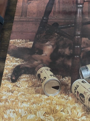 POSTER BIRRA COORS VINTAGE ANNI 70 ROCKY MOUNTAIN HIGH CAT UBRIACO GRAFICA WESTERN RARO - Foto 5 di 9