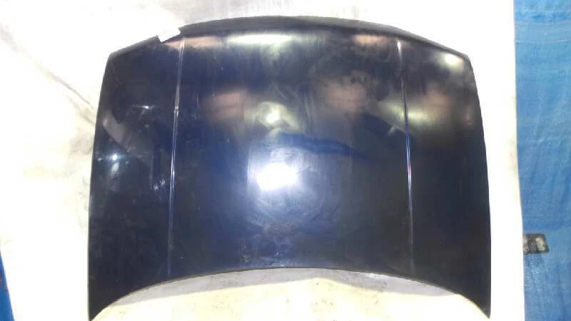 haube für VOLKSWAGEN GOLF IV BERLINA (1J1) CONCEPTLINE 1997 1400537 Foto 2 de 4