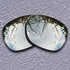US Silver Titanium Polarized Replacement Lenses For-Electric Knoxville XL