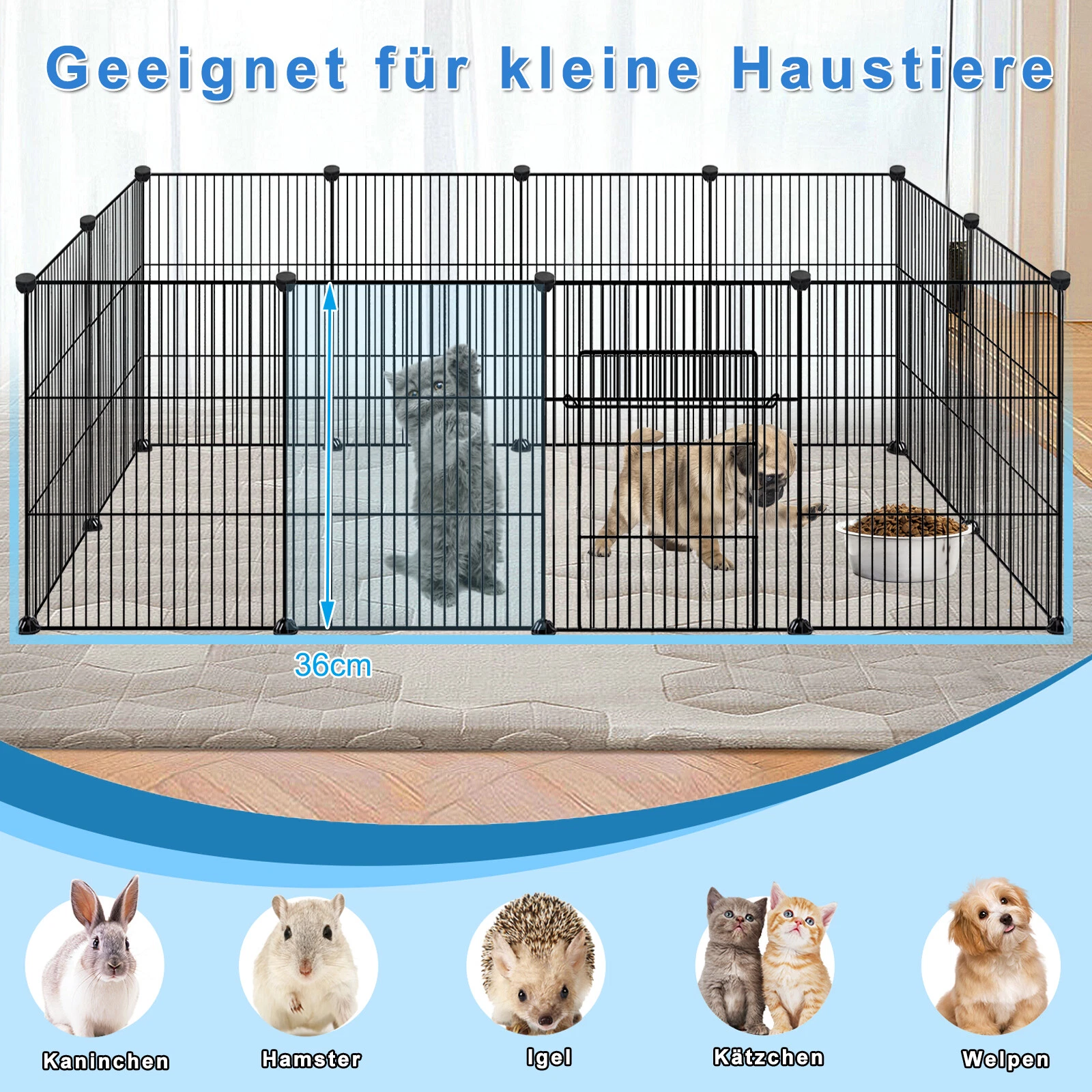 Bild 6 von 16