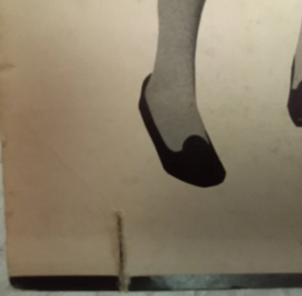 Box Tops- Cry Like a Baby  on Bell  MONO  RARE Alex Chilton - Image 4 of 4